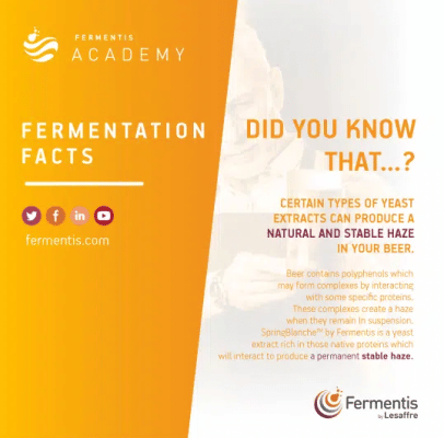 ENfermentation_facts_STABLEHAZE_1_0504