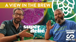 View In The Brew Superdelic Cover Photo