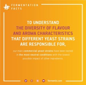 To understand the diversity of flavour and aroma characteristics that different yeast strains are available for our yeast strains have been tested in the most natural environments with the lowest possible impact of other ingredients.