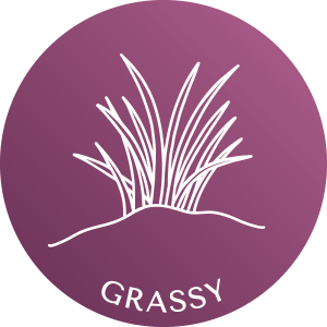 grassy