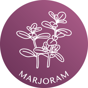 marjoram