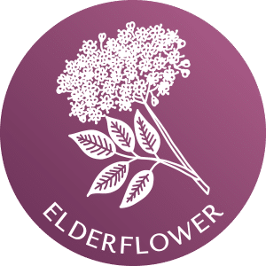 elderflower