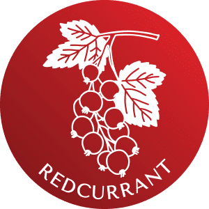 CharlesFaram-icon-redfruit-04-redcurrant-UK