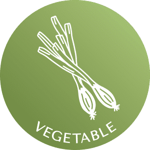 vegetable