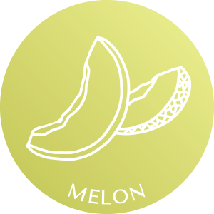 melon