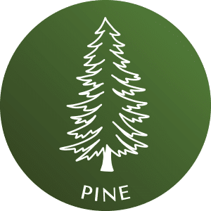 pine