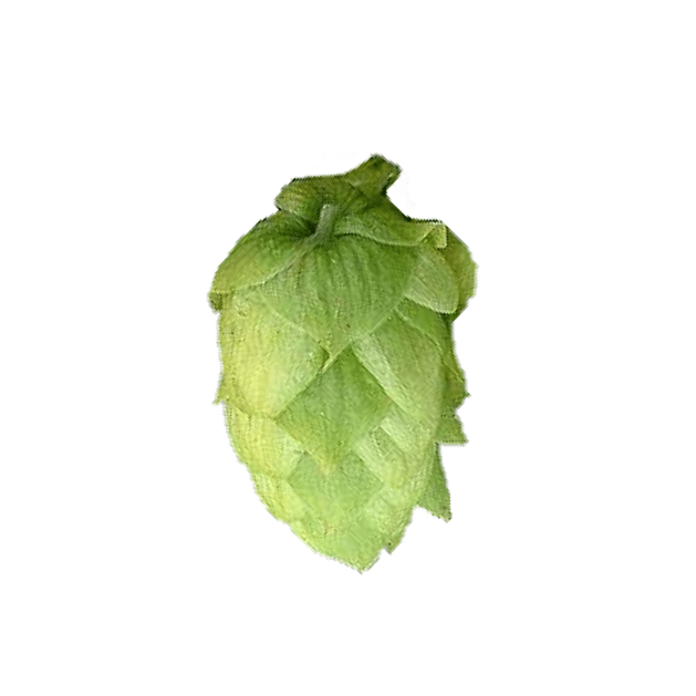 Cluster hop variety cone image